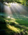 /album/fotogaleria-nosotros/paisaje-b-jpg/
